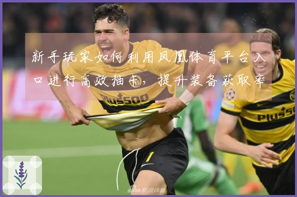 新手玩家如何利用凤凰体育平台入口进行高效抽卡，提升装备获取率与游戏体验