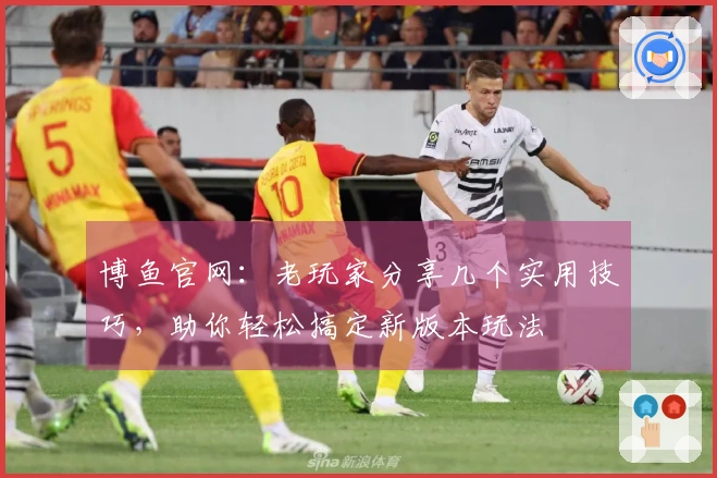博鱼官网：老玩家分享几个实用技巧，助你轻松搞定新版本玩法
